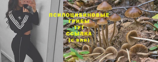 гидра Волосово