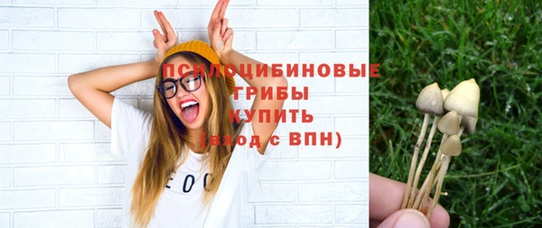 МДПВ Верхний Тагил