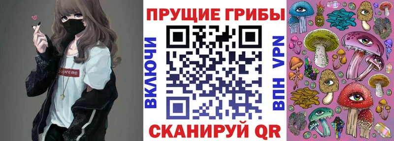 Галлюциногенные грибы Psilocybine cubensis  MEGA ТОР  Зима 